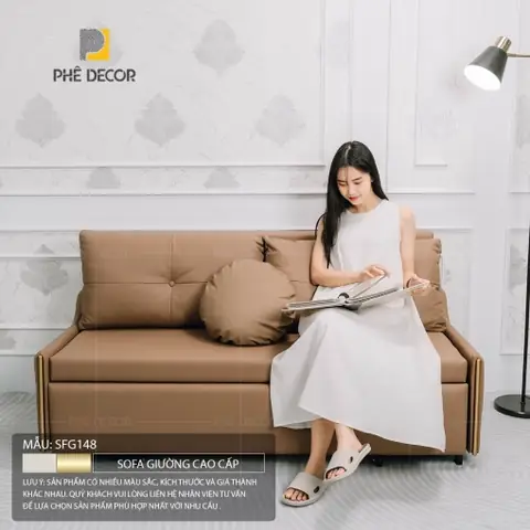 Review Sản Phẩm Sofa Giường Sfg148