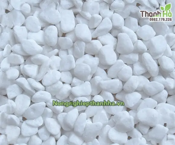 1 kg sỏi trắng trang trí tiểu cảnh loại to