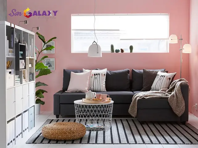 2/ Màu hồng rực rỡ kết hợp cùng màu đen tạo sự cá tính