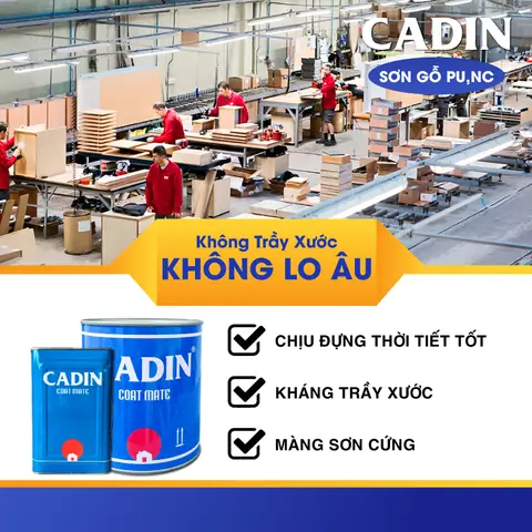 2. Chọn Thương Hiệu Uy Tín