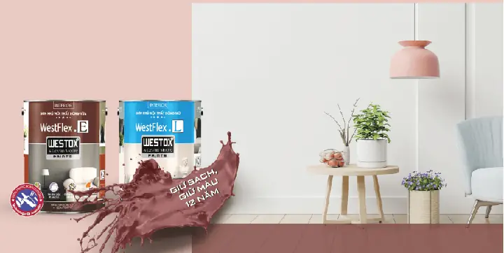 Sơn nội thất cao cấp Westox tại Hà Nội: Hướng dẫn & Địa chỉ Sơn nội thất cao cấp Westox tại Hà Nội: Hướng dẫn & Địa chỉ