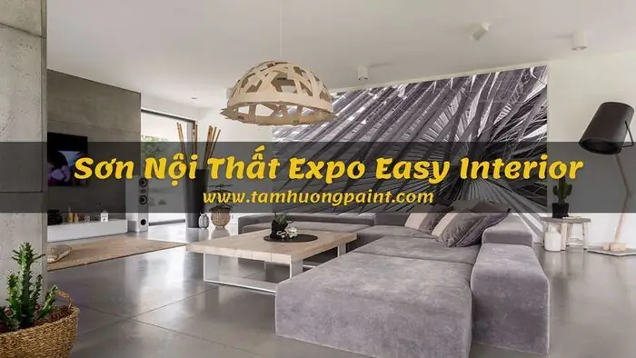 Khái niệm Sơn Expo Easy Interior