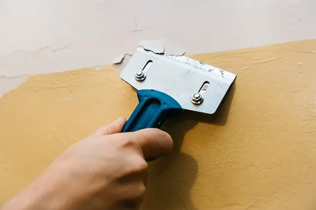 Có nên sơn tường mà không cần sơn lót khi sơn nhà?