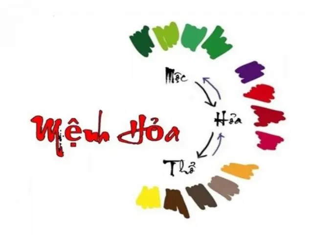 nguoi menh hoa hop mau gi