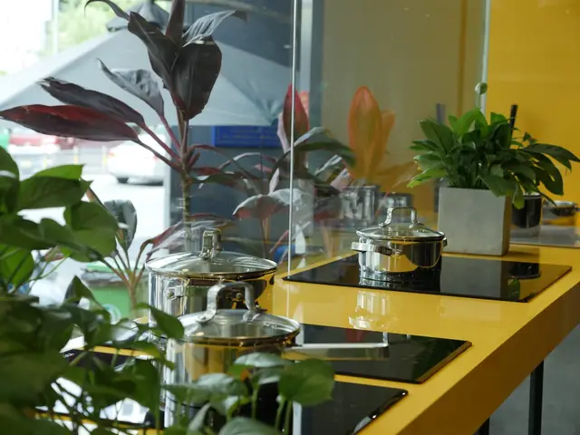 tham quan showroom nội thất
