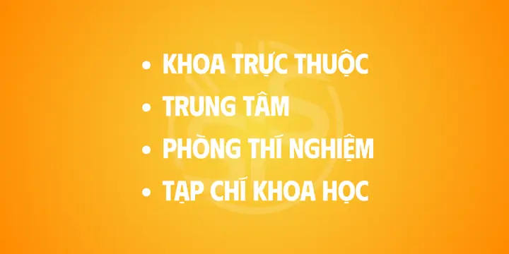thanh thúy nội thất nguyễn oanh