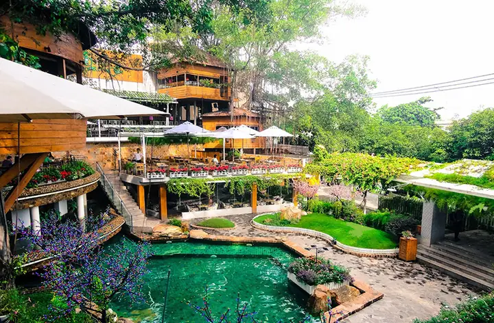 Hướng dẫn thiết kế quán cafe sân vườn đẹp mà chưa ai tiết lộ