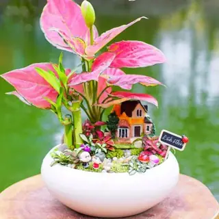 Cây Xanh Trong Nội Thất: Tuyển Chọn Và Chăm Sóc Đúng Cách