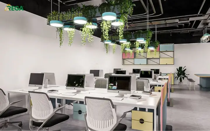 Tại Sao Bạn Nên Lựa Chọn Dịch Vụ Cho Thuê Cây Cảnh Nội Thất Văn Phòng? Tại Sao Bạn Nên Lựa Chọn Dịch Vụ Cho Thuê Cây Cảnh Nội Thất Văn Phòng?