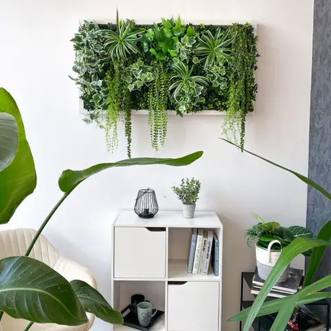 Sự Thật Về Cây Trồng Không Cần Ánh Sáng?