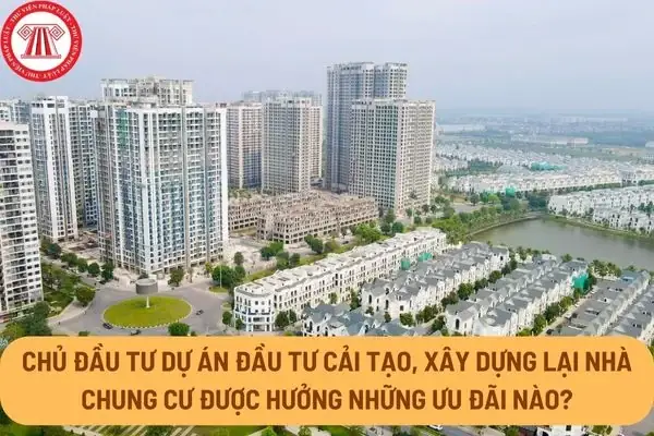 Hướng Dẫn Chủ Căn Hộ Đầu Tư Nội Thất Nhập Khẩu Hiệu Quả