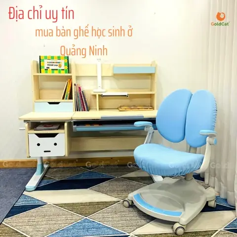 Chuyên Bán Nội Thất Nhựa Quảng Ninh