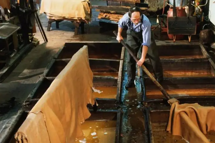 Có Thể Tự Thuộc Da Bò Nappa Tại Nhà Không? Có Thể Tự Thuộc Da Bò Nappa Tại Nhà Không?