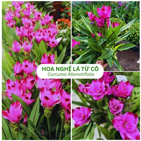 Review Công Ty Nội Thất Điền Trung: Chất Lượng Dịch Vụ Có Đáng Tin? Review Công Ty Nội Thất Điền Trung: Chất Lượng Dịch Vụ Có Đáng Tin?