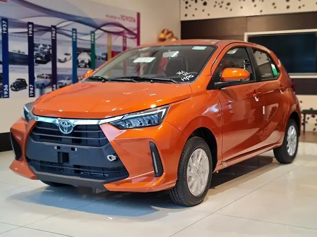 Con Cóc Trong Nội Thất