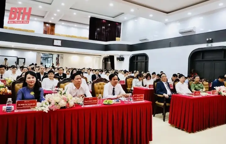 Công Ty Cổ Phần Nội Thất Mobili Việt Nam: Đánh Giá Tổng Quan Và Chi Tiết