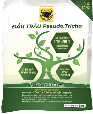Công Ty Cp Đt Xây Dựng Nội Thất Beehouse: Đánh Giá Chi Tiết
