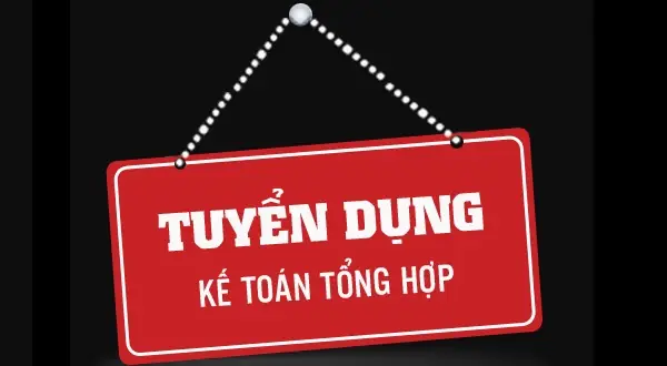 Giám Đốc Công Ty Cp Nội Thất Valuma: Hồ Sơ & Vai Trò Lãnh Đạo