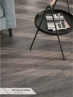 Sã N Gá» An Cæ°á»ng