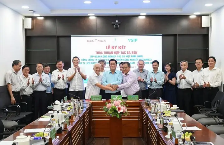 Đánh Giá Công Ty Tnhh Xây Dựng Nội Thất Hoa Việt: Thông Tin Chi Tiết