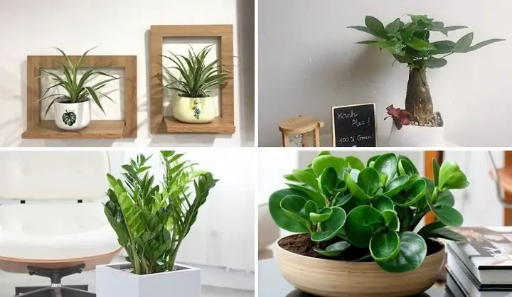 Đánh Giá Chi Tiết Công Ty Nội Thất Hồng Lộc: Lựa Chọn Phù Hợp Cho Không Gian Sống Của Bạn?