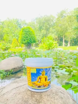 Đánh Giá Cty Tnhh Trang Trí Nội Thất Thuận Hưng: Lựa Chọn Cho Không Gian Sống